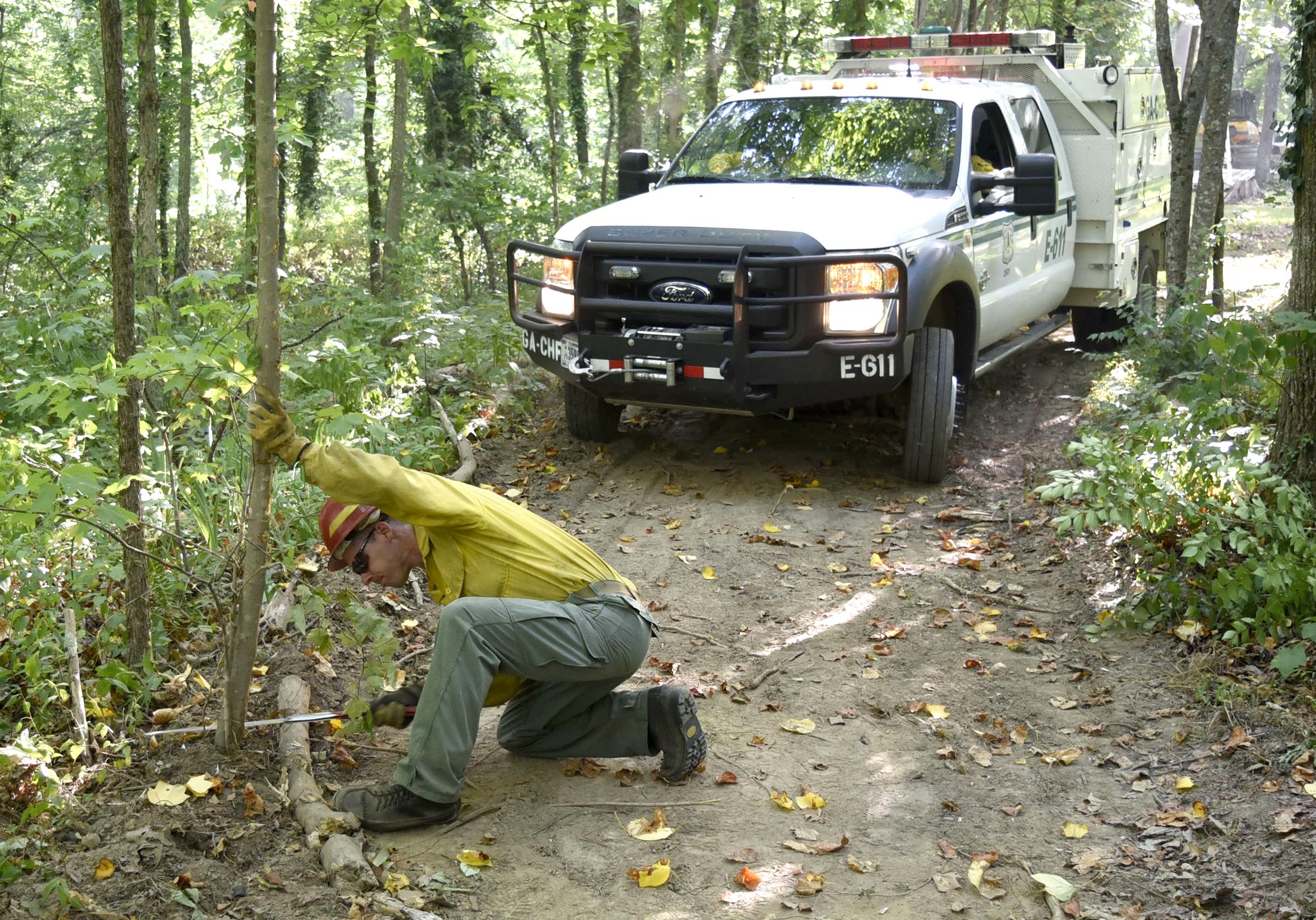 A United States Forest Service Ranger cuts down a small try to allow the movement of equipment to the site of a wildfire on Lookout Mountain.  Multiple agencies united to fight a wildfire on the west slope of Lookout Mountain below Covenant College Thursday July 14, 2016.