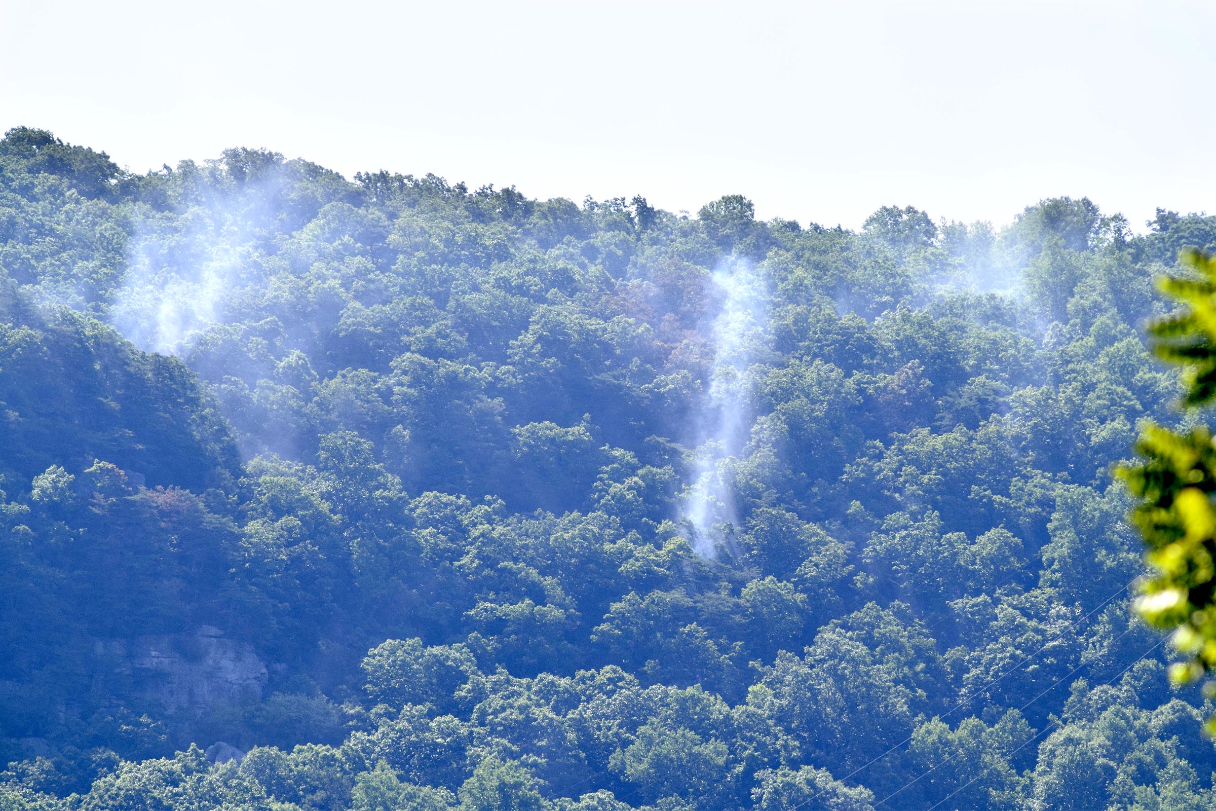 Smoke emerges from the forest on the side of Lookout Mounain.  Multiple agencies united to fight a wildfire on the west slope of Lookout Mountain below Covenant College Thursday July 14, 2016.