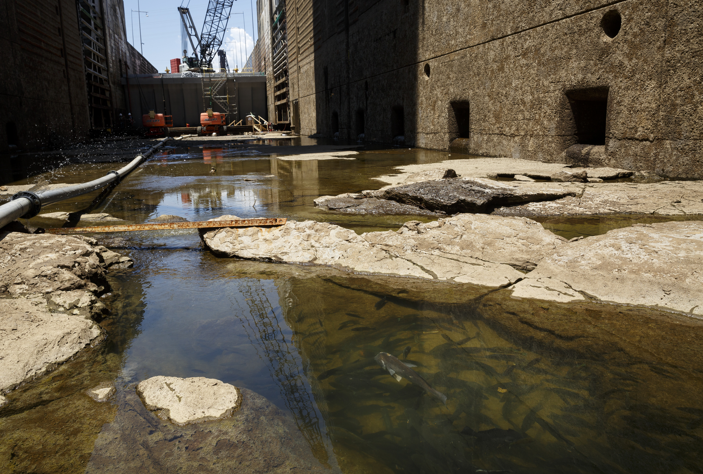 Fish swim in a pool in the dewatered Chickamauga Lock at the Chickamauga Dam on Wednesday, July 20, 2016, in Chattanooga, Tenn. The lock is being dewatered for routine maintenance checks.