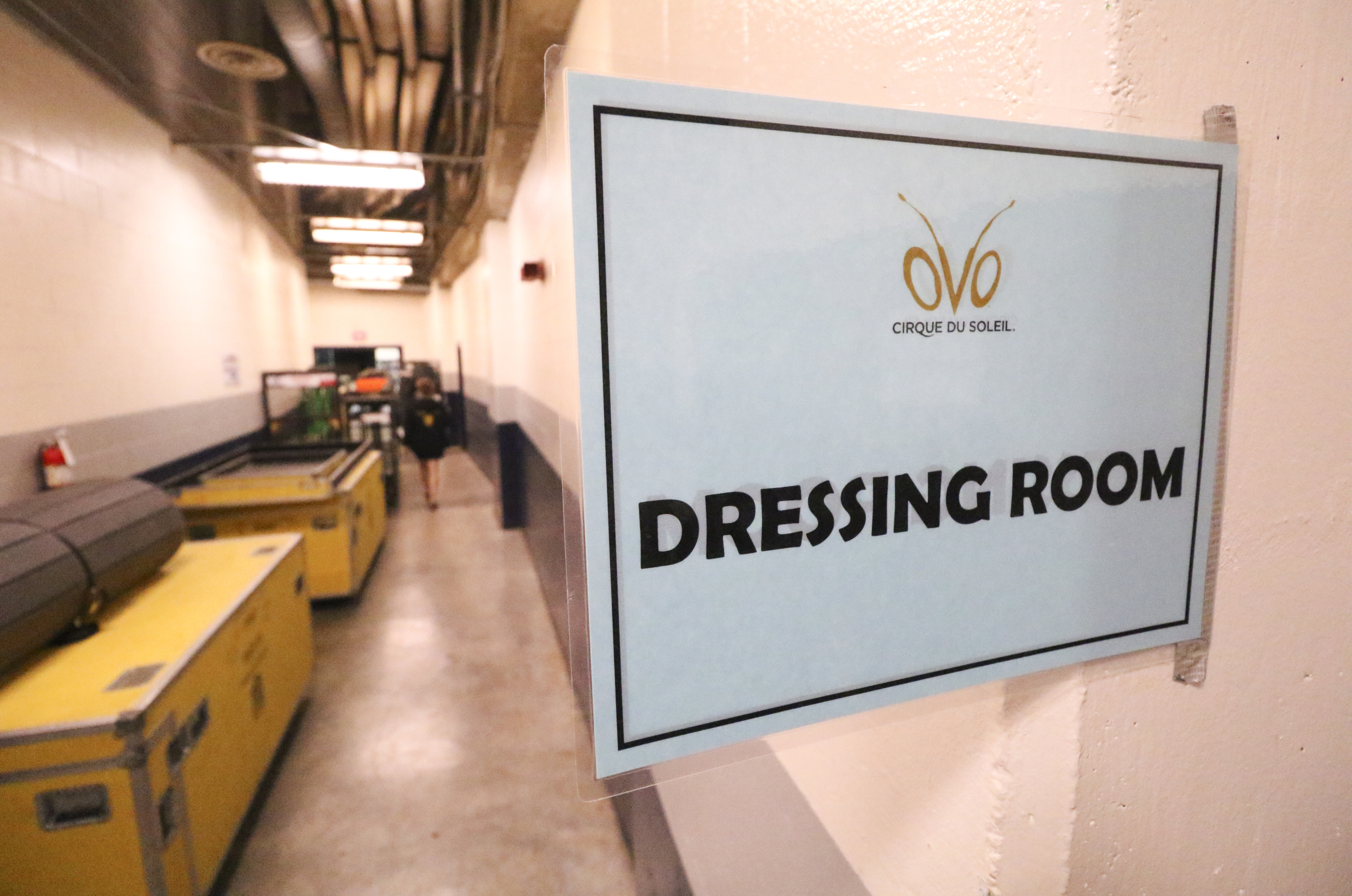 Staff Photo by Dan Henry / The Chattanooga Times Free Press- 7/20/16. The OVO Cirque Du Soleil will be held at McKenzie arena in Chattanooga, Tenn., July 20-24 2016. The OVO Cirque show features performers as insects in colorful costumes performing acts including foot juggling, hand balancing, rock climbing, acrobatics and slack lining.