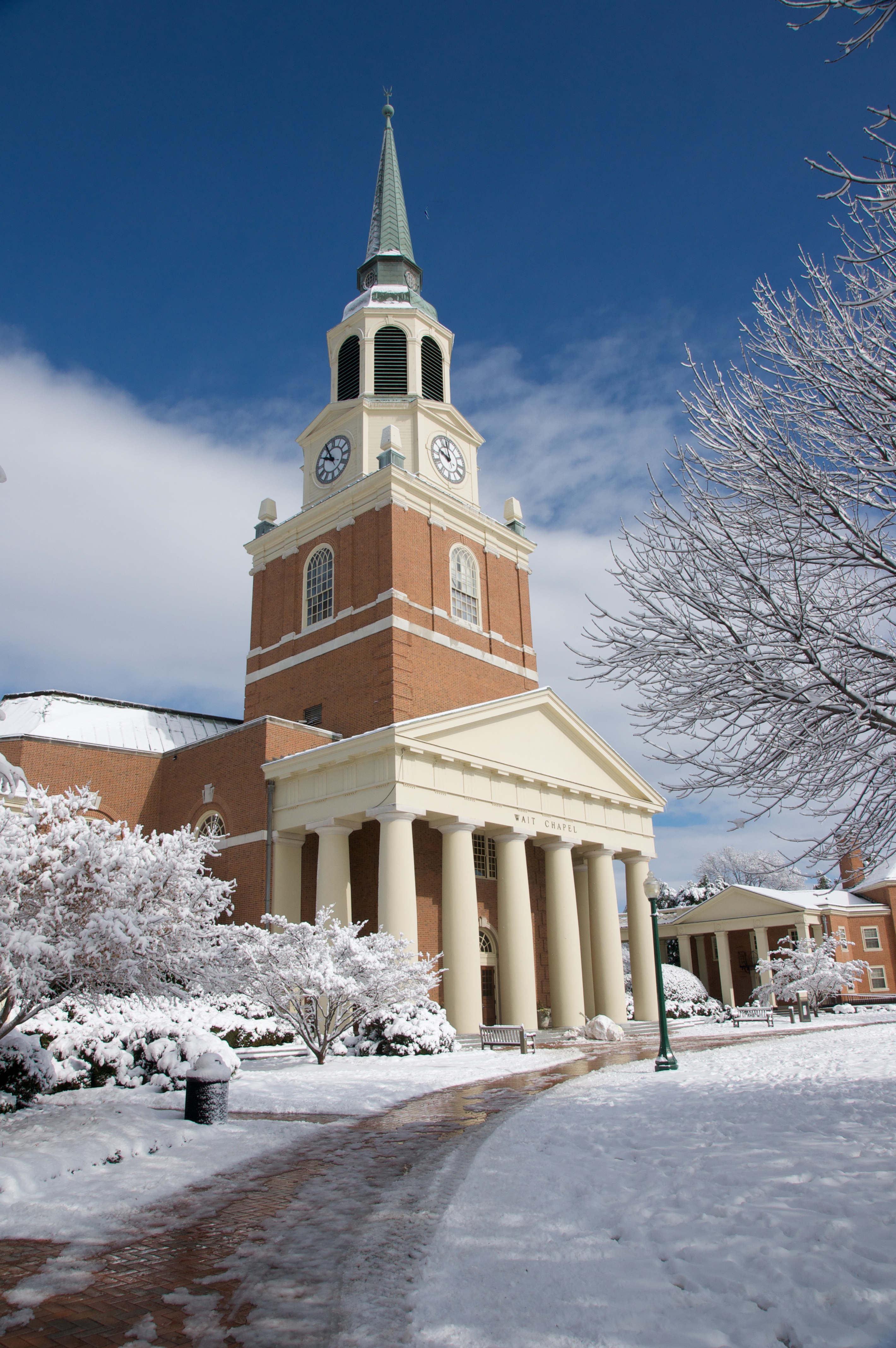 Wake Forest University