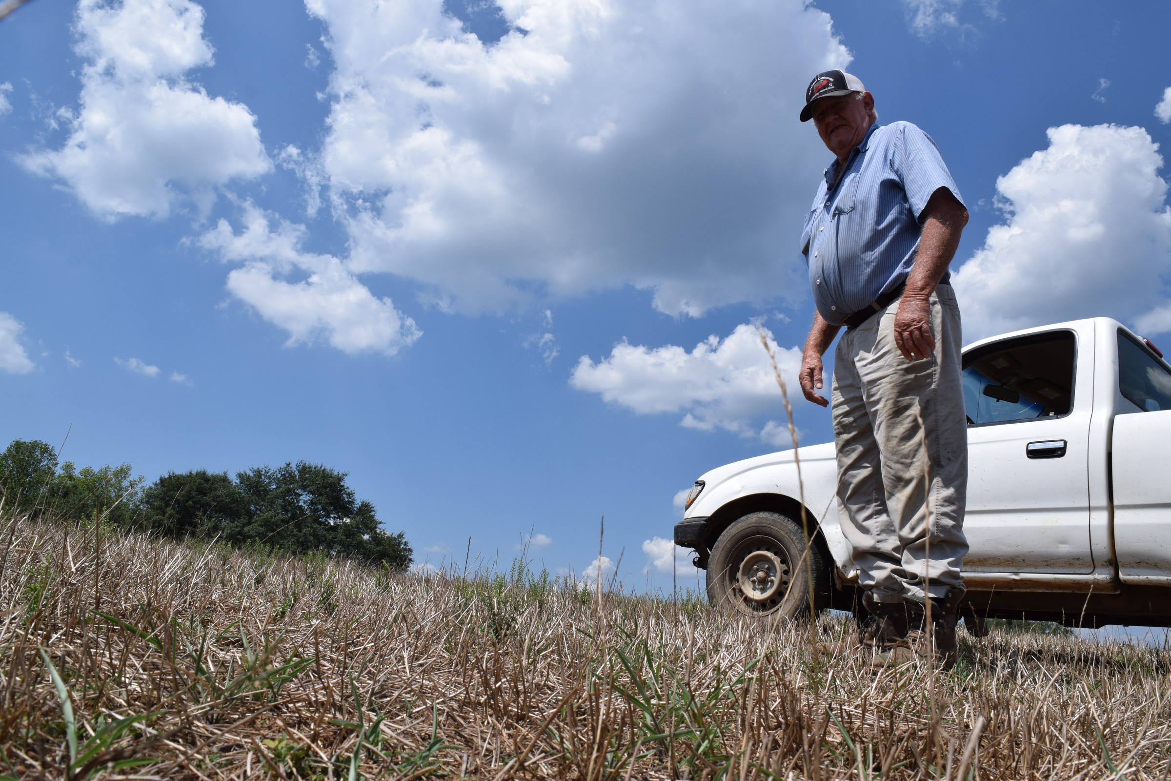 Walker County, Ga., farmer Donald Martin stands amid the stubble of what remains of his pasture where a new crop of hay should be green and several inches tall by now. His cattle are already eating the hay cut this spring that was meant for winter feeding.