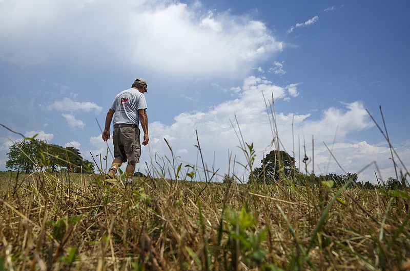 James Burton walks through a dry field on his farm on Thursday, July 21, 2016, in LaFayette, Ga. Burton says that the ongoing drought has forced him to graze cattle in fields he would normally save for next year, and while he would normally be selling his hay to customers, he has only just enough to last his own farm through the winter.