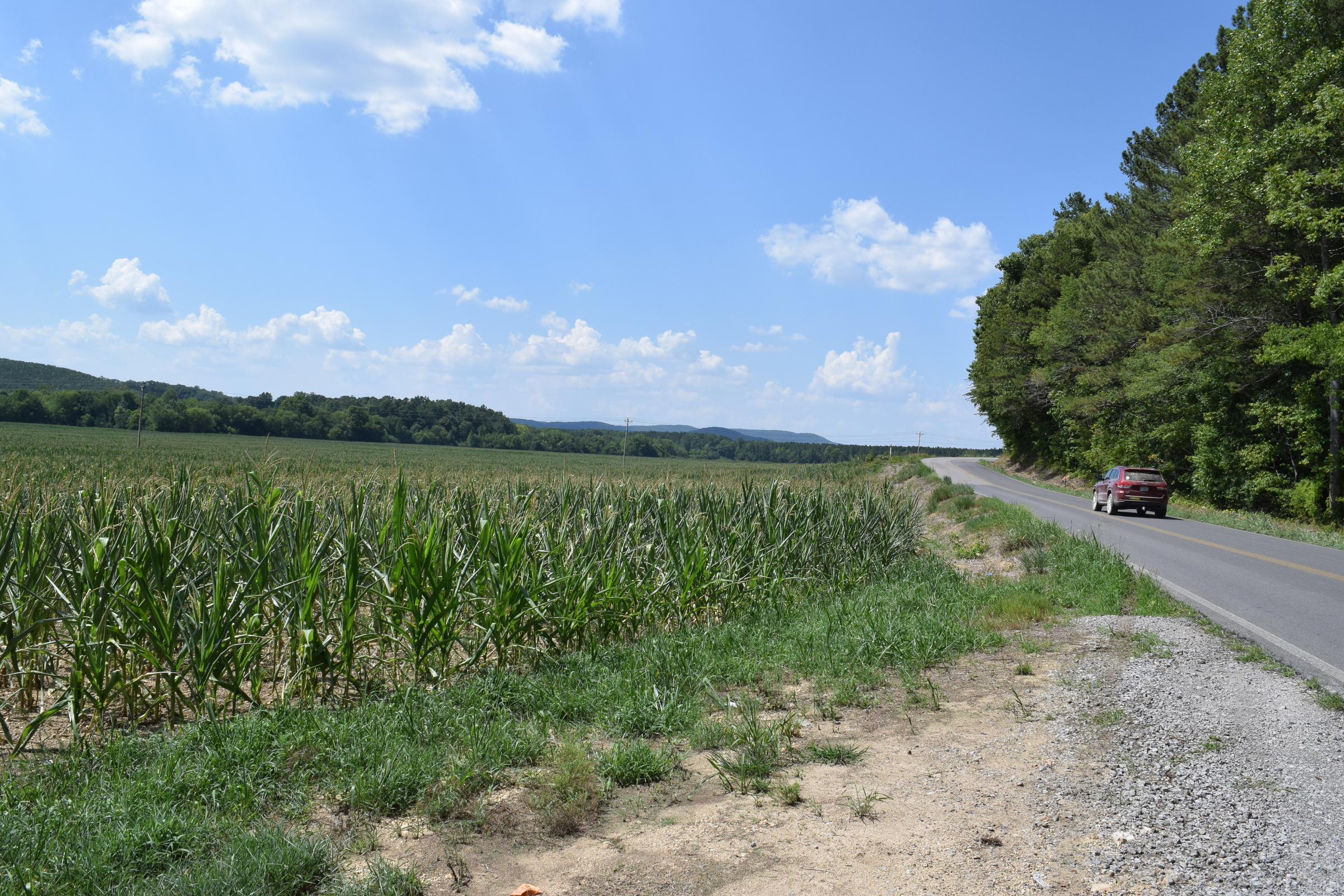 The corn crop on farms in Walker County, Ga., has been stunted by extreme drought conditions spanning the tri-state area around Chattanooga.