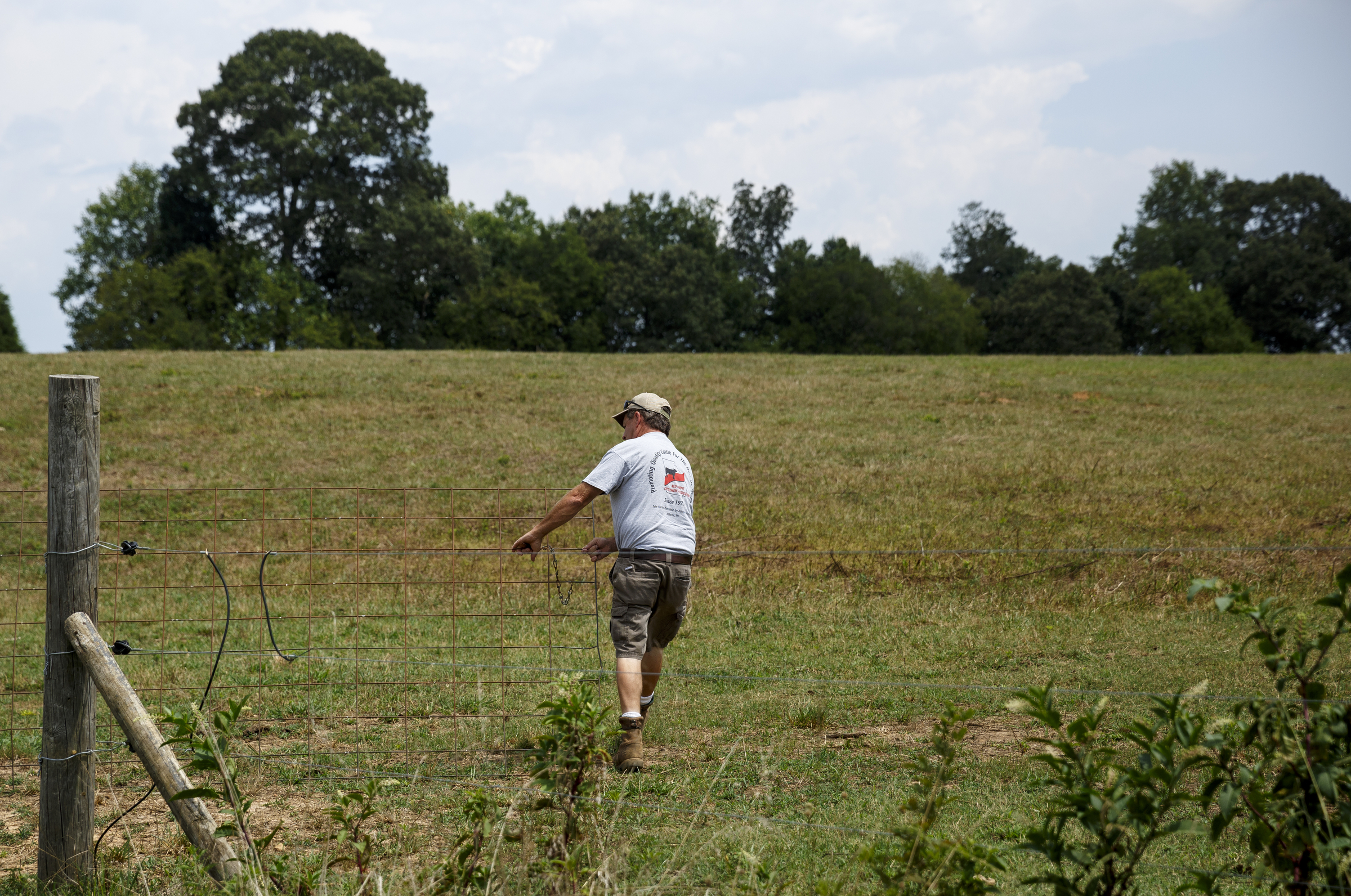 James Burton opens a gate to a dry field on his farm on Thursday, July 21, 2016, in LaFayette, Ga. Burton says that the ongoing drought has forced him to graze cattle in fields he would normally save for next year, and while he would normally be selling his hay to customers, he has only just enough to last his own farm through the winter.