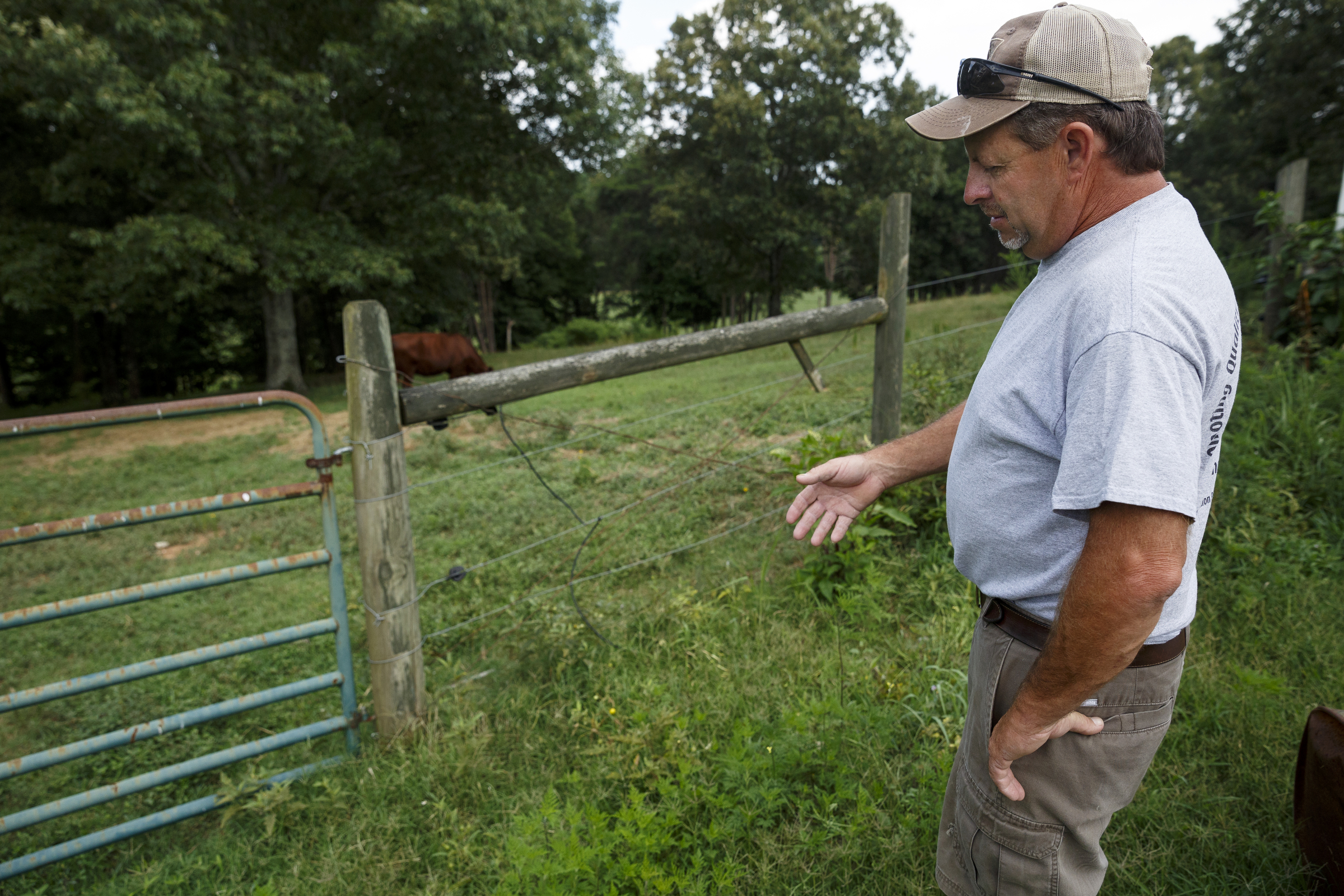 James Burton talks about his shortage of hay on his farm on Thursday, July 21, 2016, in LaFayette, Ga. Burton says that the ongoing drought has forced him to graze cattle in fields he would normally save for next year, and while he would normally be selling his hay to customers, he has only just enough to last his own farm through the winter.