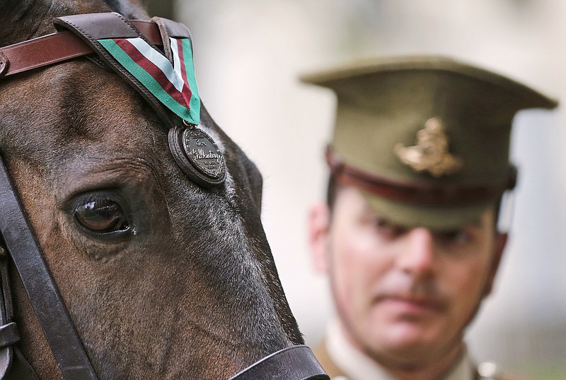
              Horse Haldalgo, representing life-saving US Marine horse Sergeant Reckless who served with the US Marine Corps during the Korean War, is awarded with the PDSA Dickin Medal watched by Sergeant Mark Gostling in London, Wednesday, July 27, 2016. Reckless, who survived one of the bloodiest battles in modern military history, has today been awarded the PDSA Dickin Medal – known as the animal equivalent of the Victoria Cross – for her bravery and devotion to duty during the Korean war 1950 until 1953. (AP Photo/Frank Augstein)
            