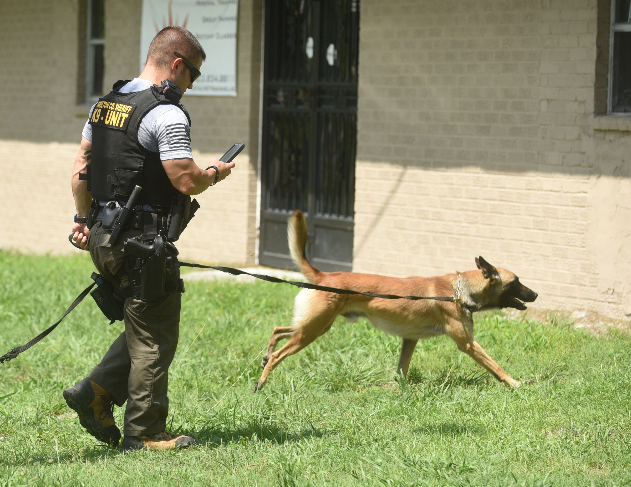 An officer and his dog head into the woods on Old Lee Highway near the intersection of Apison Pike Monday, August 1, 2016 while searching for a man who fled police.