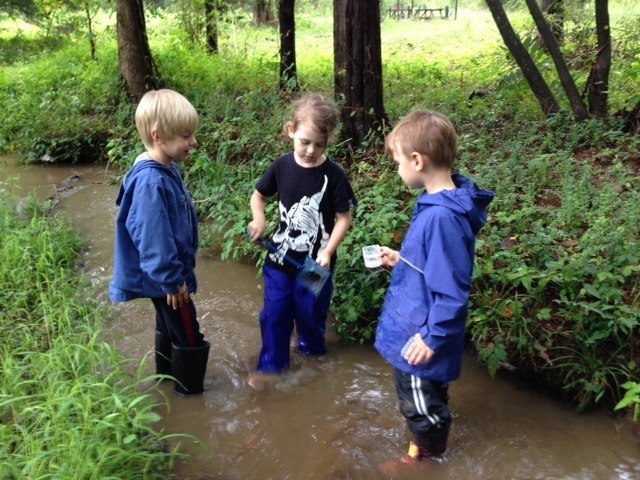 Three kindergartners hunt for minnows in the creek running through the Wauhatchie School property.