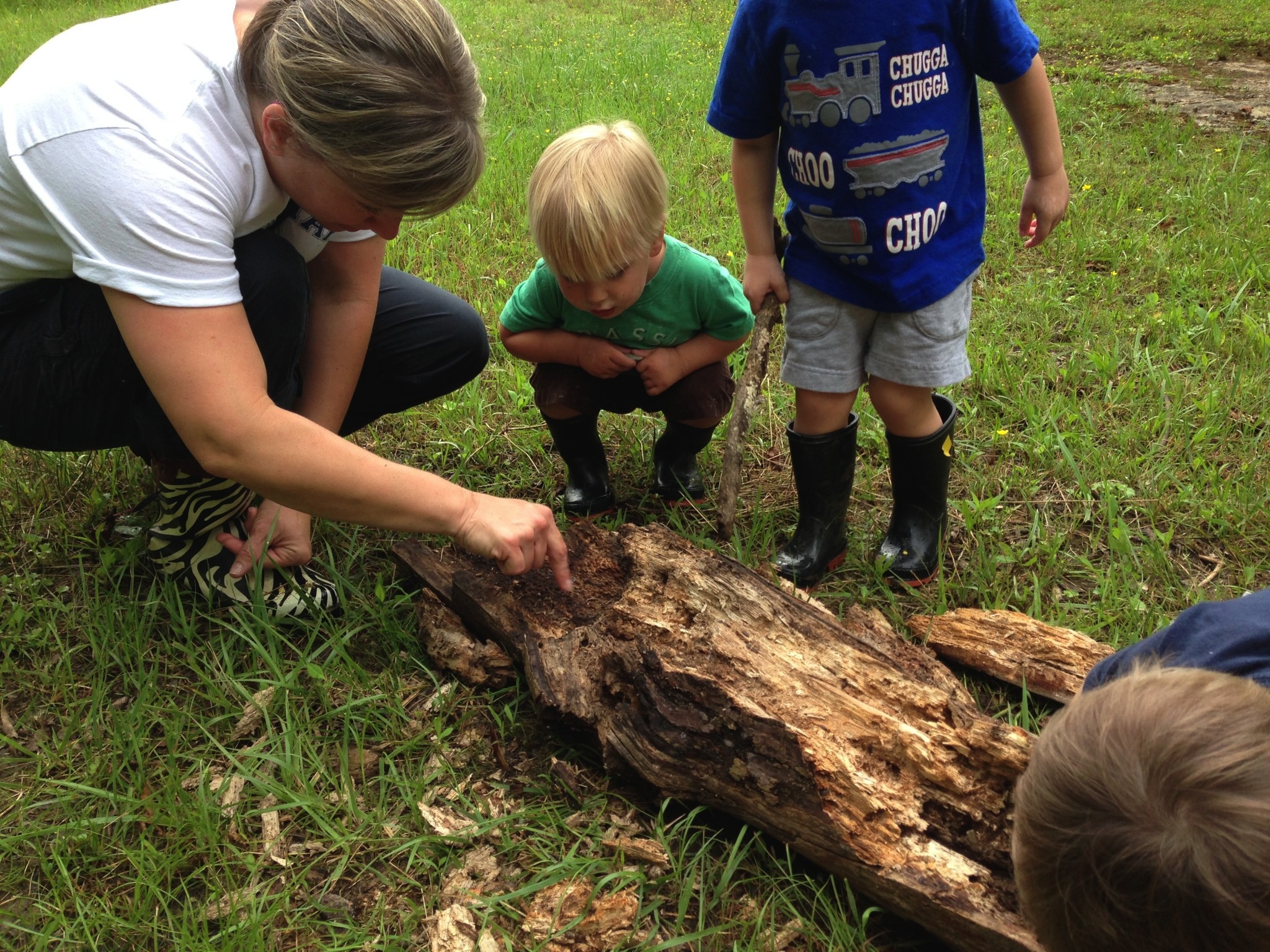 Preschoolers explore the mysteries found beneath an old log during forest kindergarten class at Wauhatchie School.