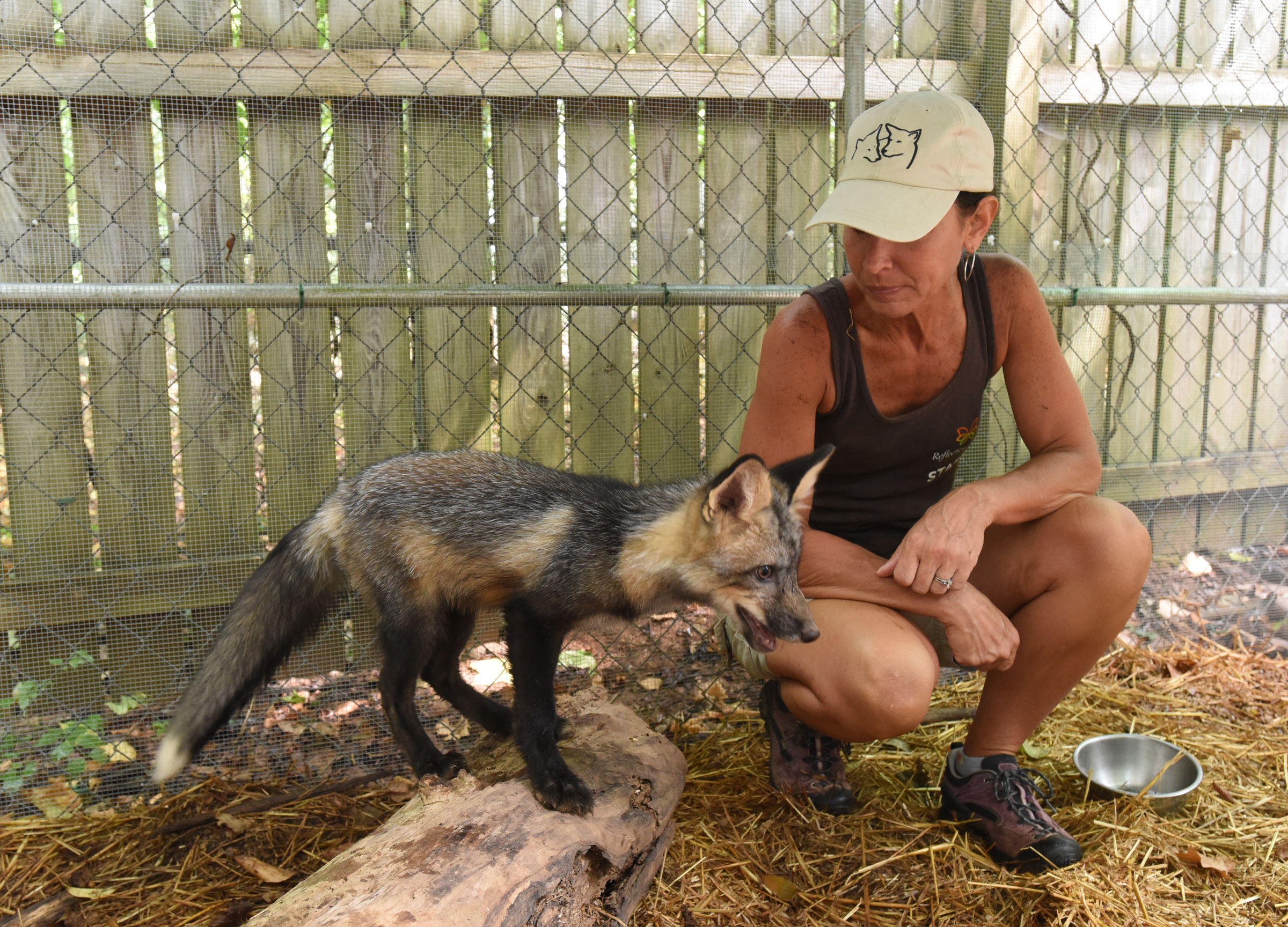 Todd and his trainer, Tish Gailmard, have become an inseparable pair as she prepares him to visit classrooms.