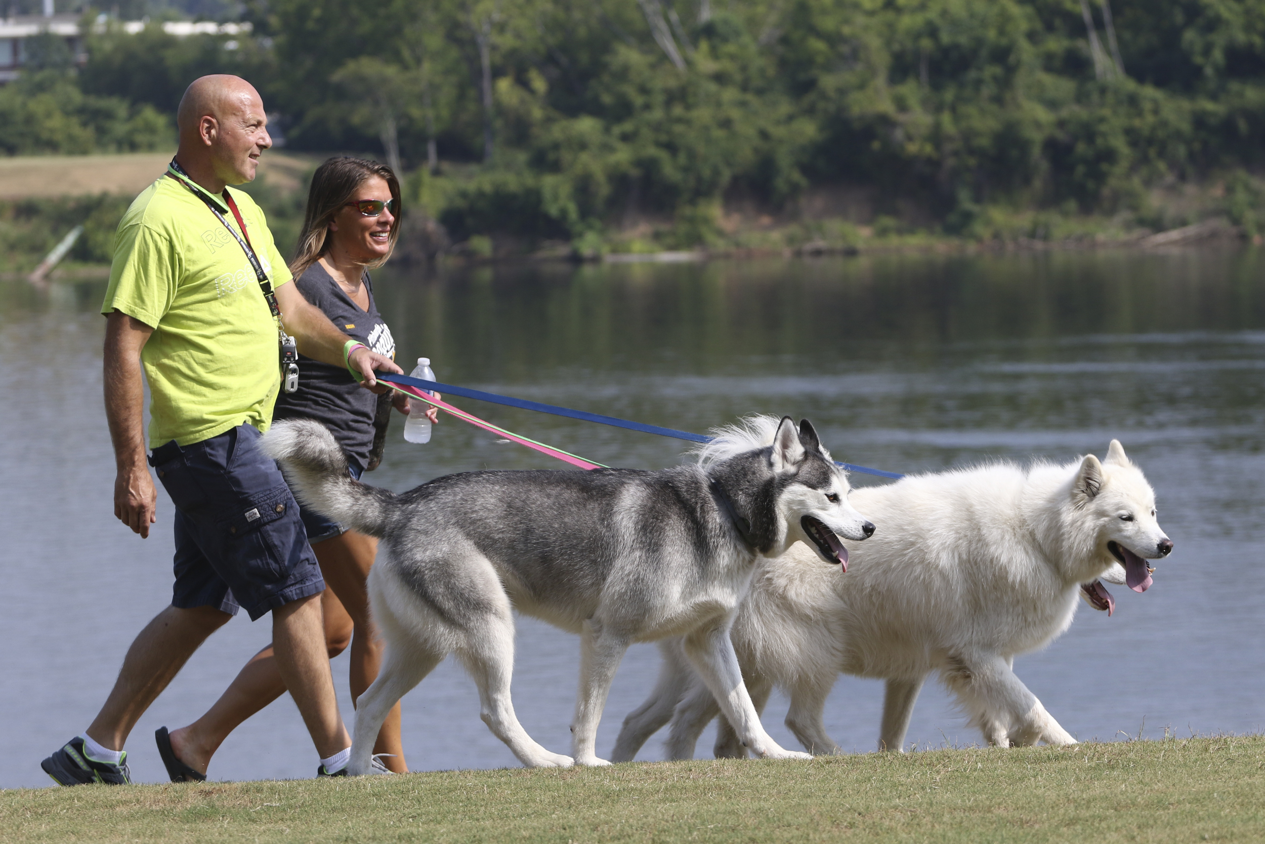 Staff Photo by Dan Henry / The Chattanooga Times Free Press- 8/5/16. Darlene Krajnak and Joe Checkan walk their dogs Fleury, Kota and Lilly along the waterfront to get some exercise on Friday, August 5, 2016.