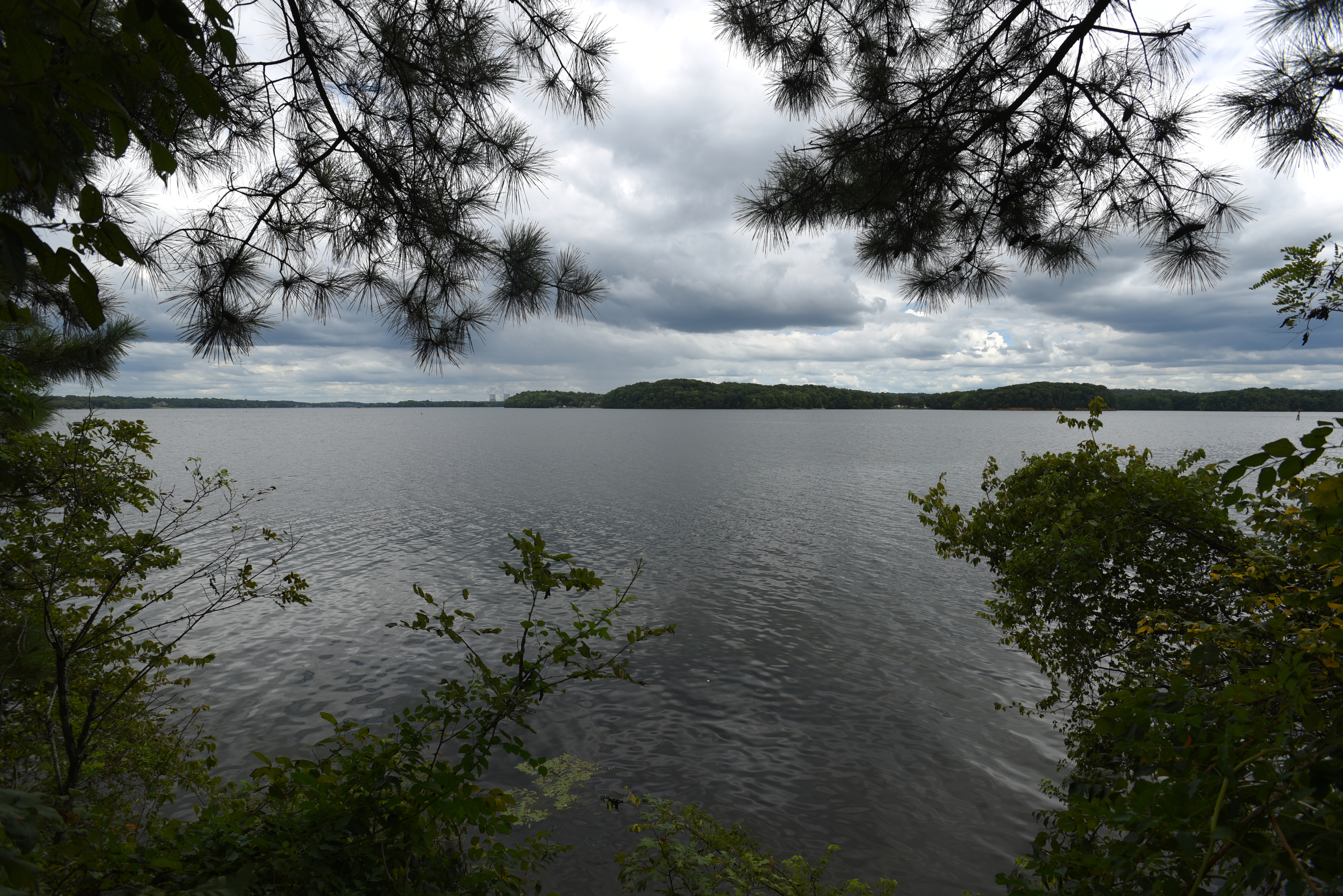 The area of Chester Frost Park known as Pinky's Point will developed by the county to provide recreation activity on the lake.