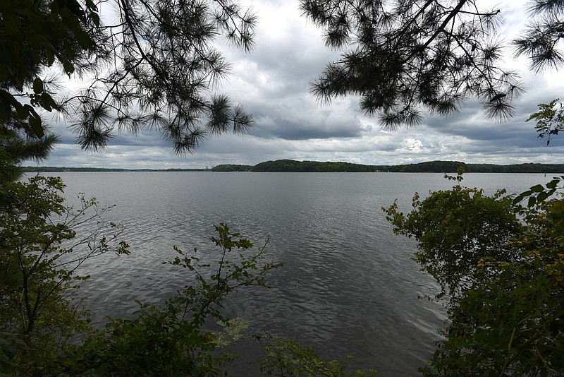 The area of Chester Frost Park known as Pinky's Point will developed by the county to provide recreation activity on the lake.

