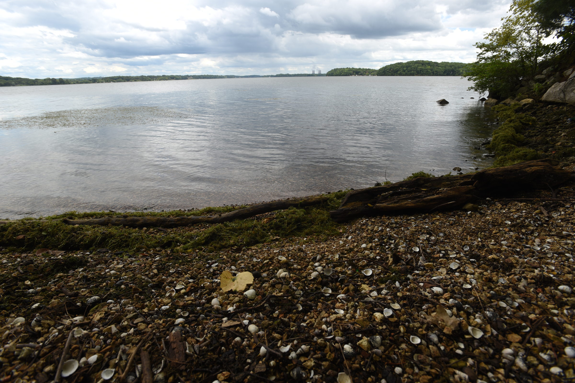 The area of Chester Frost Park known as Pinky's Point will developed by the county to provide recreation activity on the lake.