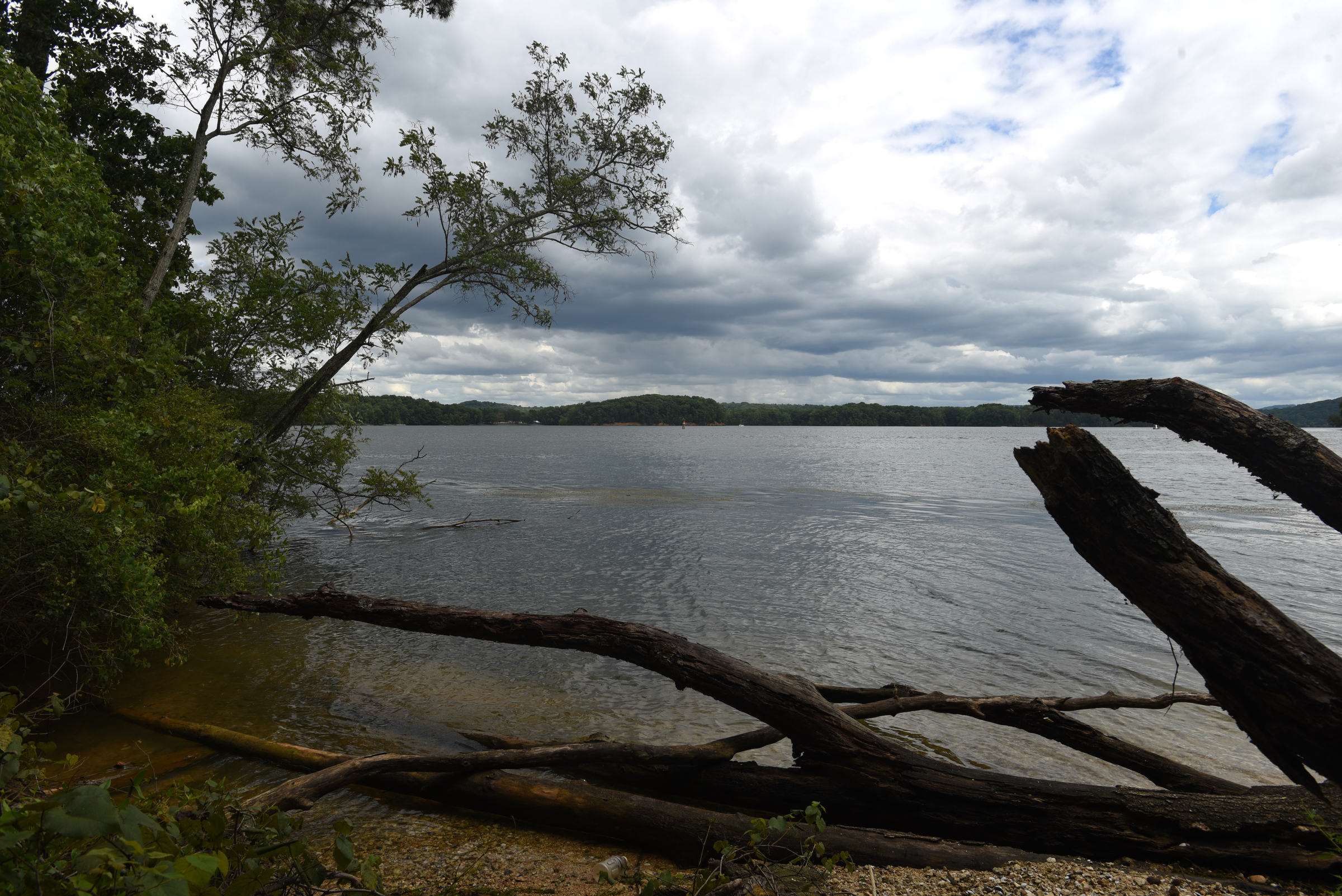 The area of Chester Frost Park known as Pinky's Point will developed by the county to provide recreation activity on the lake.
