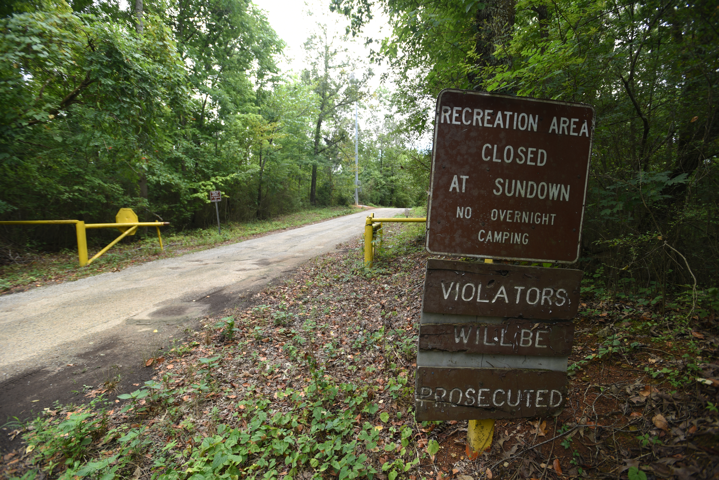 The area of Chester Frost Park known as Pinky's Point will developed by the county to provide recreation activity on the lake.