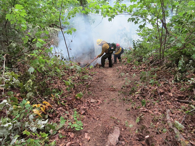 Firefighters work to put out a wildfire on Lookout Mountain. 

