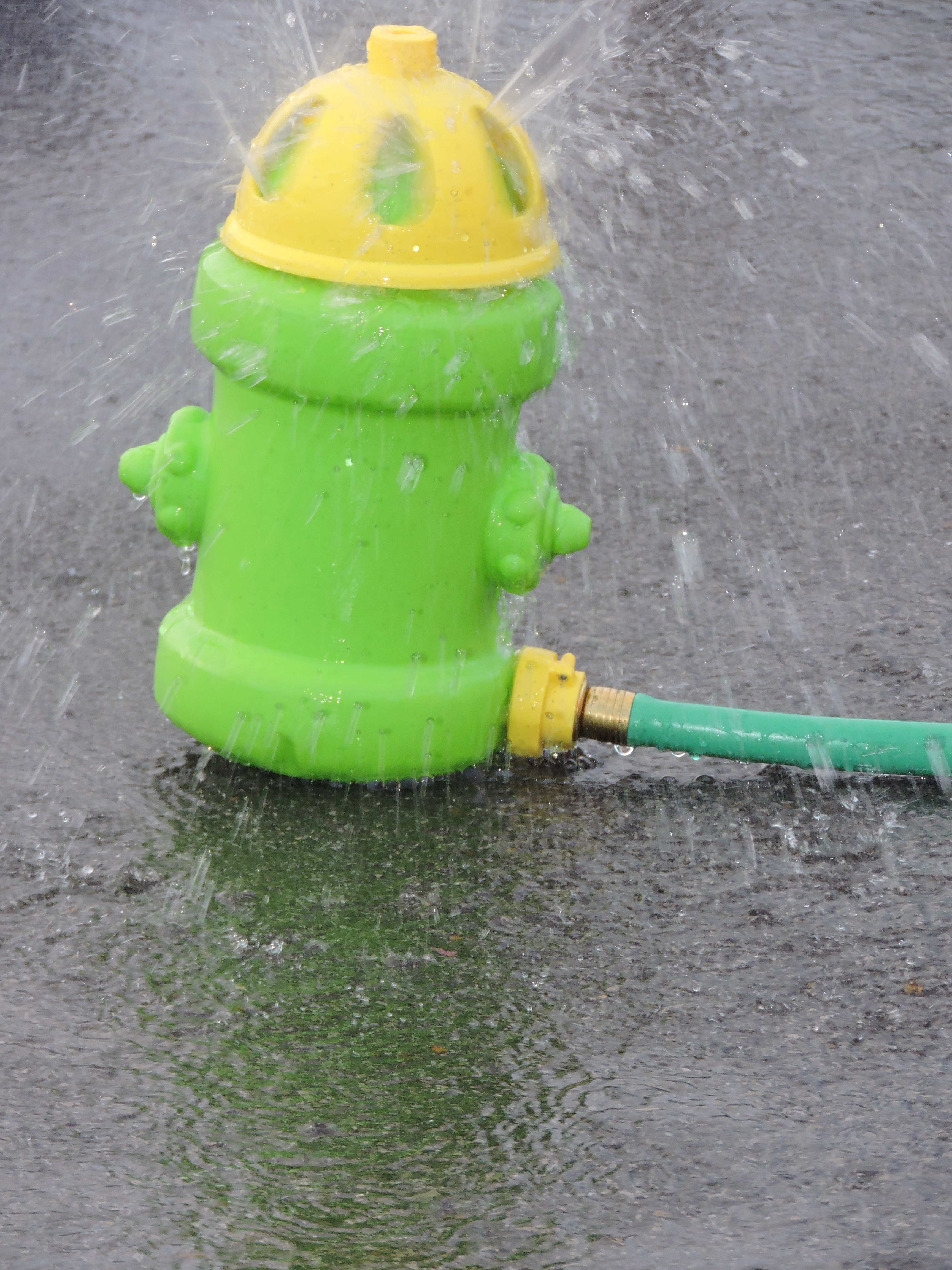 Tennessee American Water's Water Fest gives the community a splashing good time. The day included water games, plant tours and more.