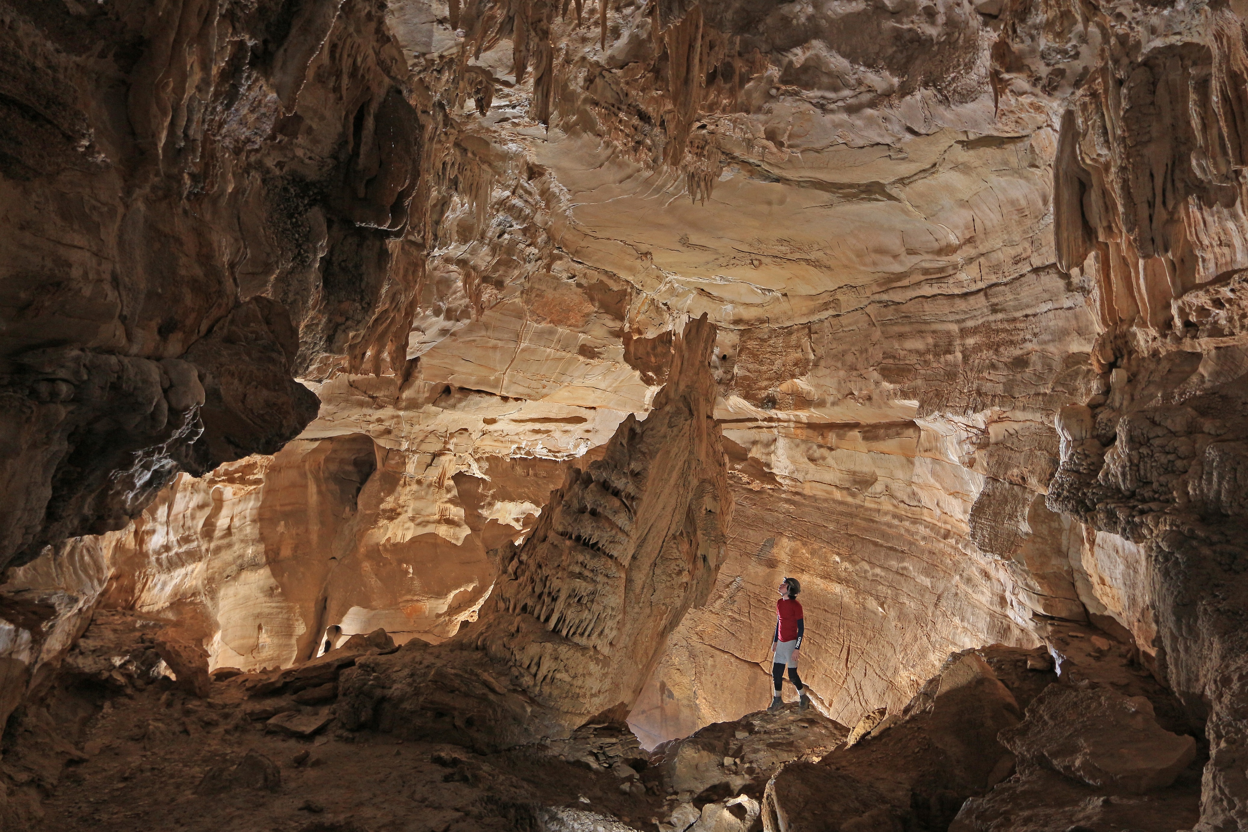 Frick's Cave is open to SCCi members and guests only one day per year. This is in order to protect the cave's endangered gray bat population and its rare Tennessee cave salamander population. (Contributed photo by Alan Cressler)