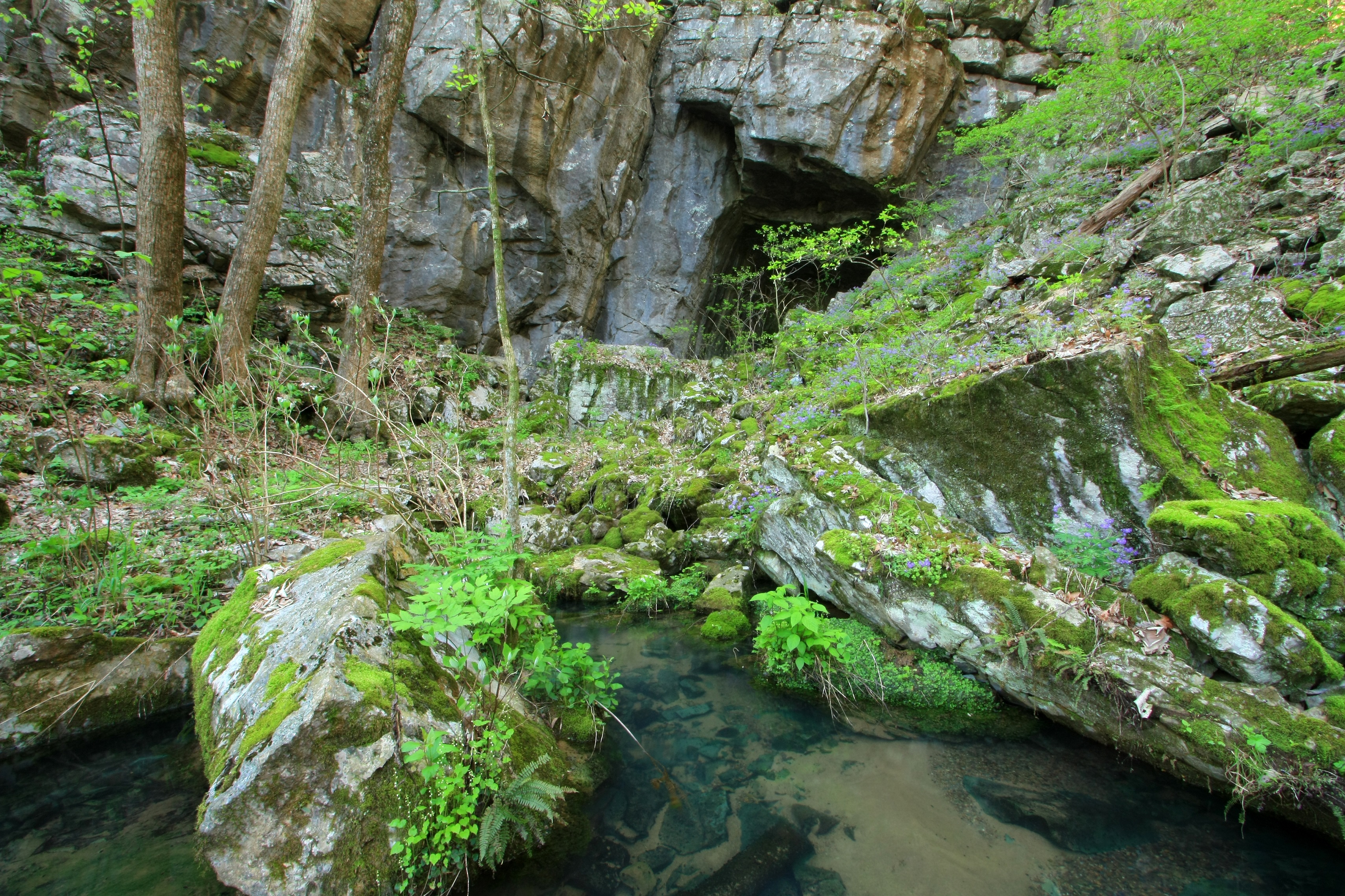 While access to Frick's Cave is restricted, its 34-acre wooded preserve allows hikers and campers (with permit) to visit year-round. (Contributed photo by Alan Cressler)