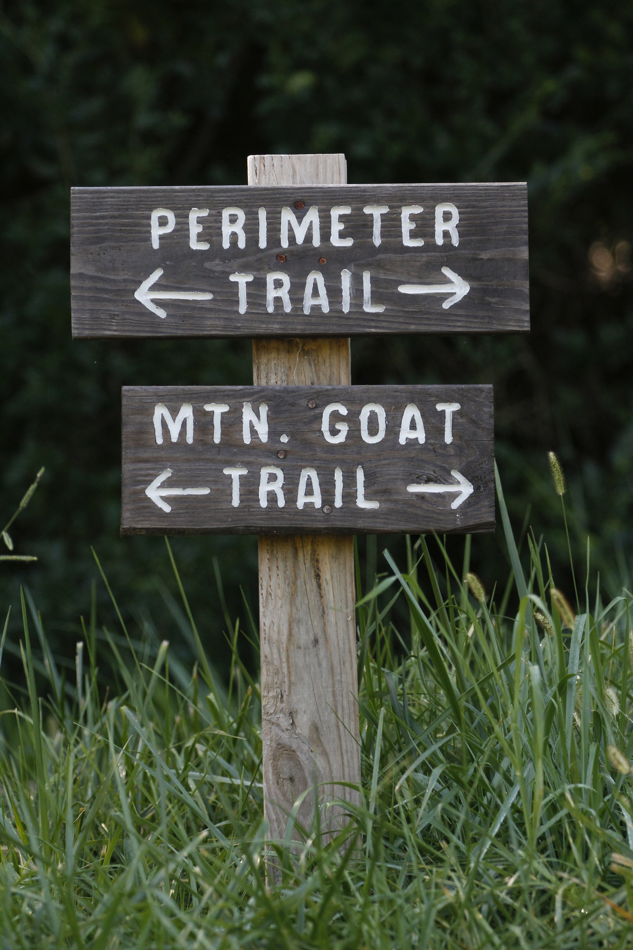 The Mountain Goat Trail is a project to connect seven towns with a 35-mile, paved hiking and biking trail.