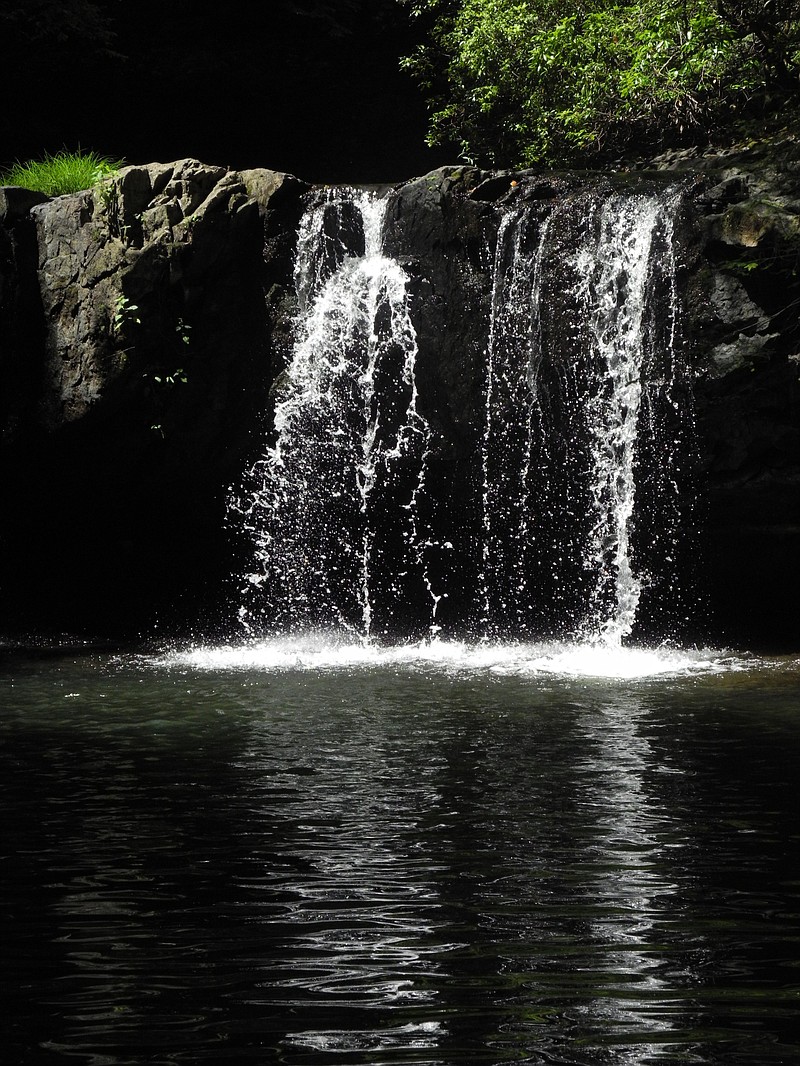 Three waterfalls add to the scenic beauty of the 12-mile Fiery Gizzard Trail in South Cumberland State Park.