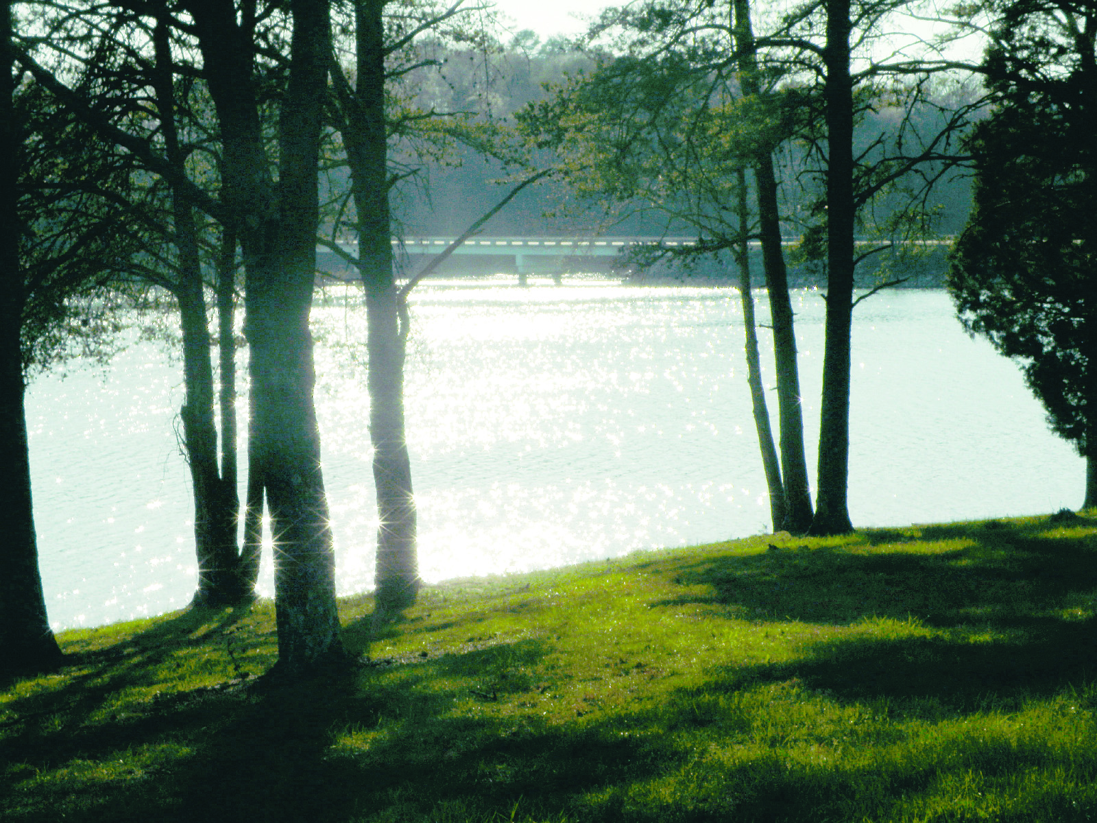 Sale Creek This way to the water Chattanooga Times Free Press