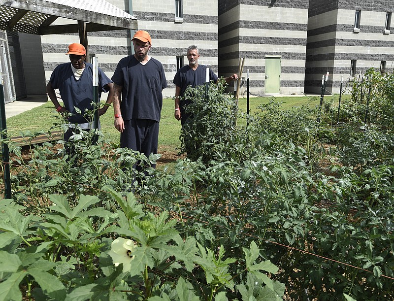 Leander Johnson, Jason Hughes and Tim Kelly, from left, discuss their garden and the work they put into it at the Catoosa County Jail.