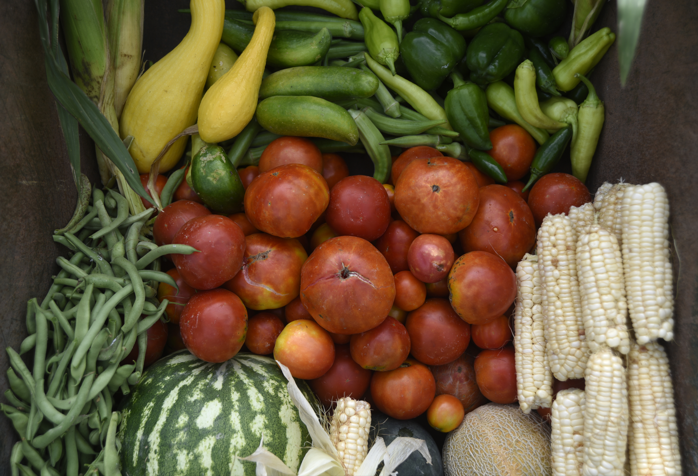Vegetables harvested from the garden at Catoosa County Jail fill a wheelbarrow.