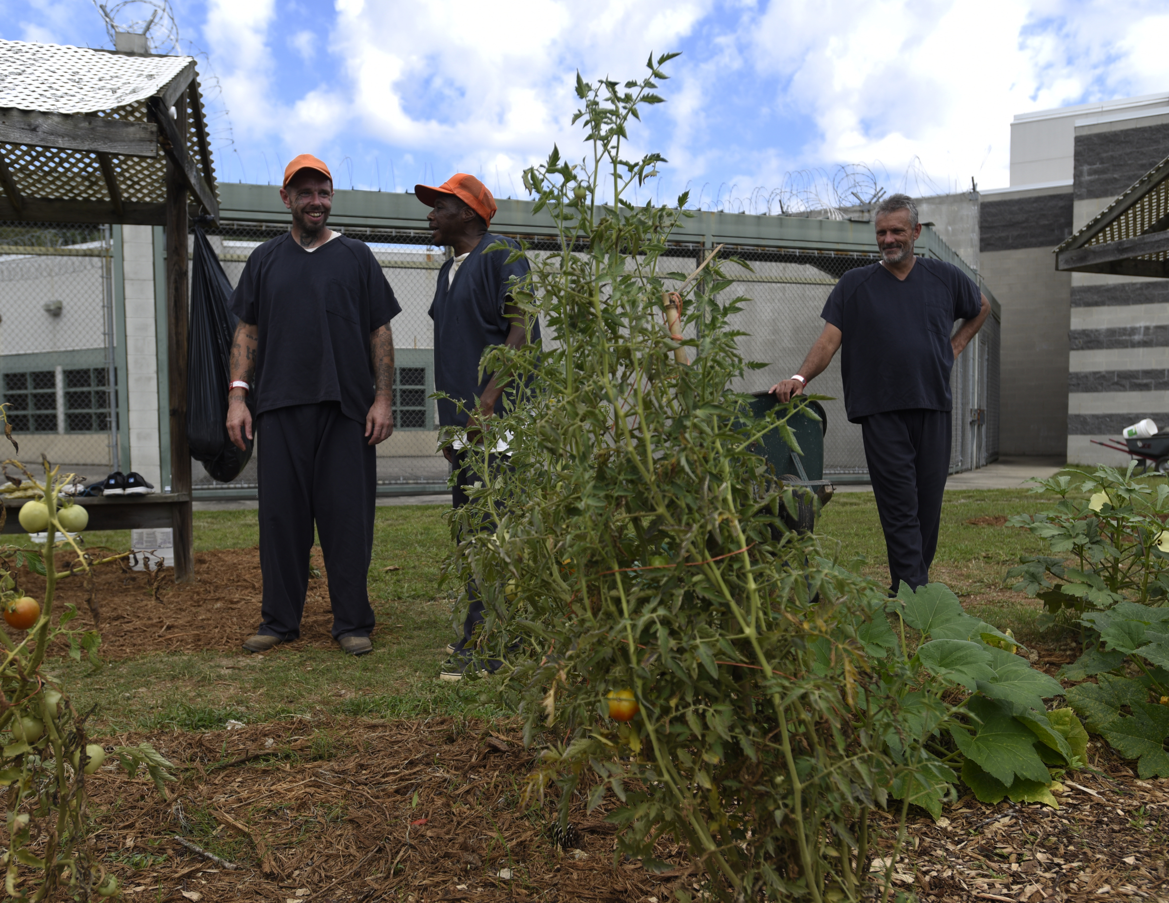 Jason Hughes, Leander Johnson and Tim Kelly, from left, discuss their garden at the Catoosa County Jail.