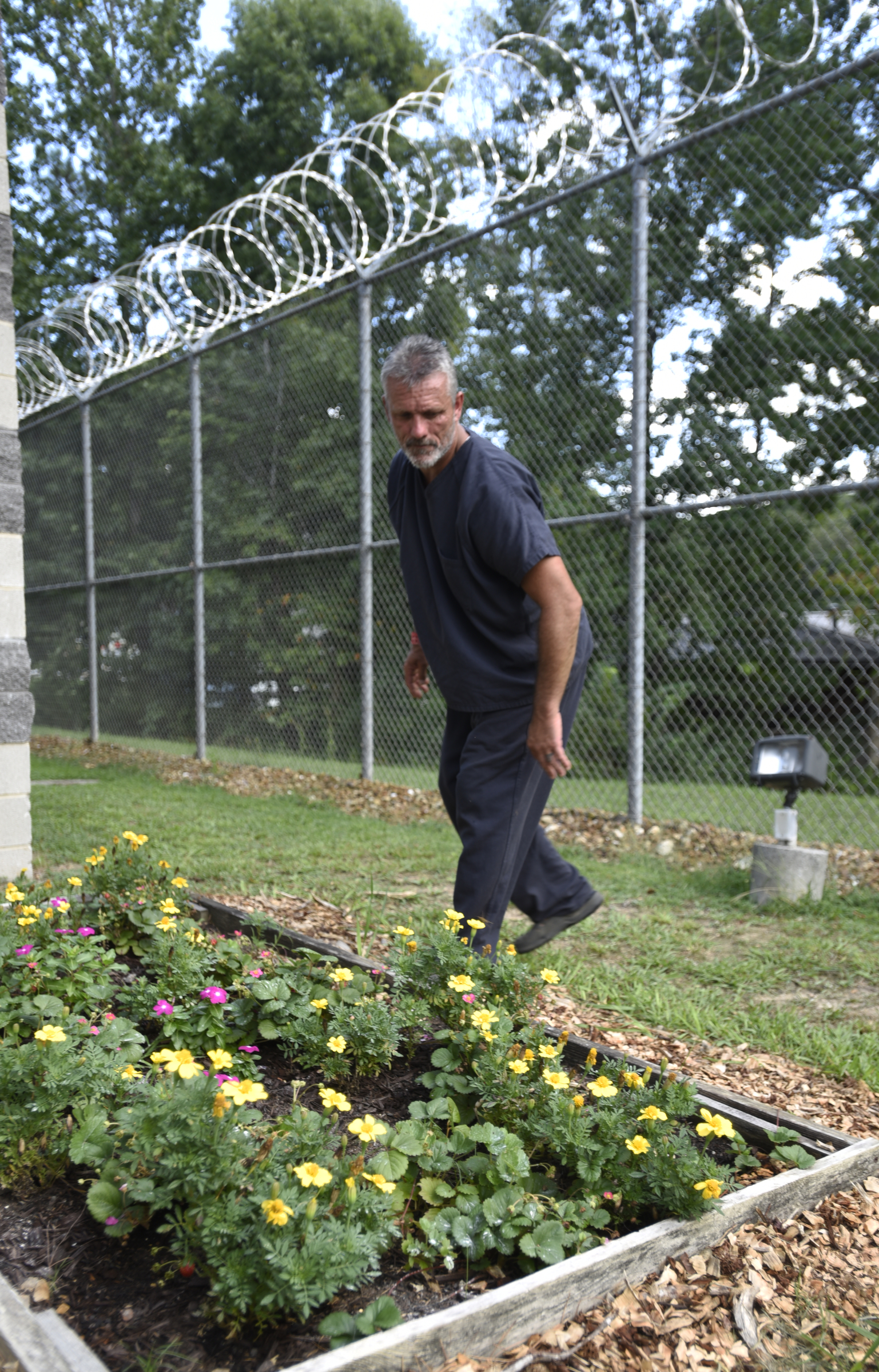 Tim Kelly examines strawberries in a raised bed at the Catoosa County Jail.
