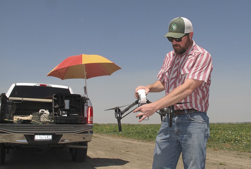 
              In this photo taken July 25, 2016, Danny Royer, vice president of technology at Bowles Farming Co., prepares to pilot a drone over a tomato field near Los Banos, Calif. The farm hired Royer this year to oversee drones equipped with a state-of-the-art thermal camera. The drone can scan from a bird's-eye view for cool, soggy patches where a gopher may have chewed through the buried drip irrigation line and caused a leak of water, a precious resource in drought-stricken California. On the farm's 2,400-acre tomato crop alone, this year drones could detect enough leaks to save water needed to sustain more than 550 families of four for a year. (AP Photo/Scott Smith)
            