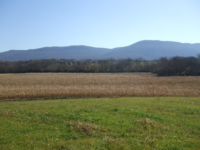 In 2010, the 54-acre Pikeville Spring Farm and Pikeville Spring, which once was the source of water for Pikeville, became the first Bledsoe County land easement project completed by the Land Trust for Tennessee.