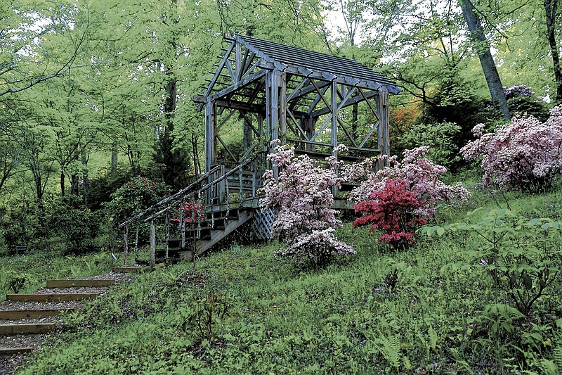 
Hamilton Rhododendron Gardens