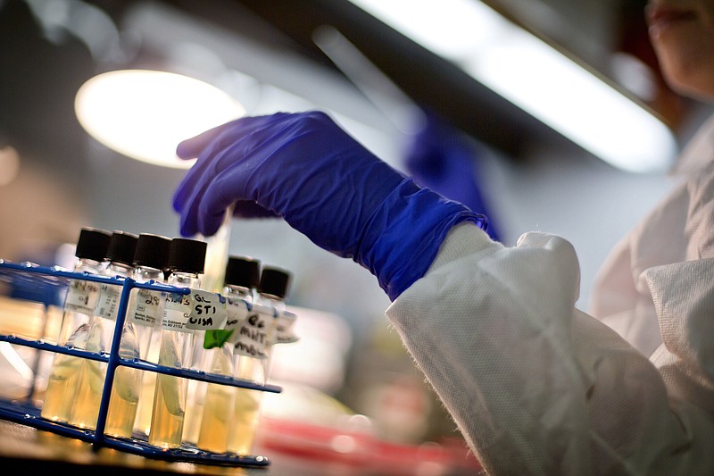 In this Monday, Nov. 25, 2013, file photo, a microbiologist works with tubes of bacteria samples in an antimicrobial resistance and characterization lab within the Infectious Disease Laboratory at the Centers for Disease Control and Prevention in Atlanta. (AP Photo/David Goldman)