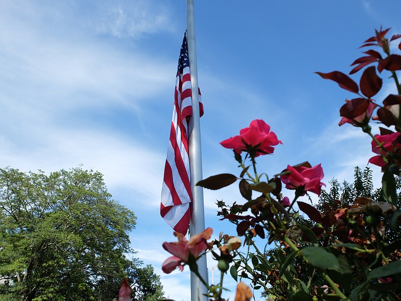 Knockout roses and the American flag highlight the grounds of the Hamilton County Courthouse on Sunday, the 15th anniversary of 9/11.