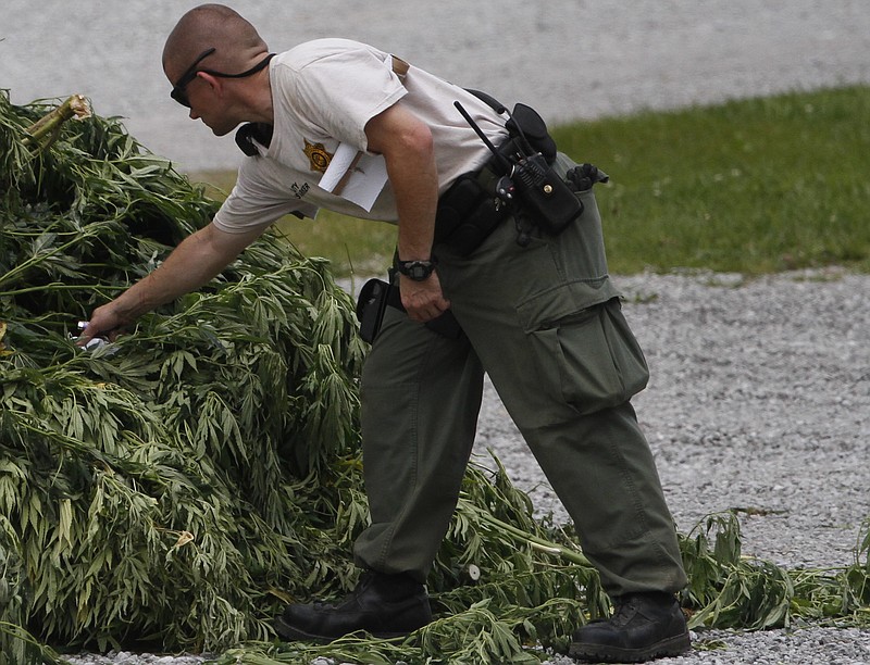 Grundy County Sheriffs Deputy Rusty Parker sets fire to a pile of marijuana plants behind the Grundy County Sheriff's department on July 31, 2014.
