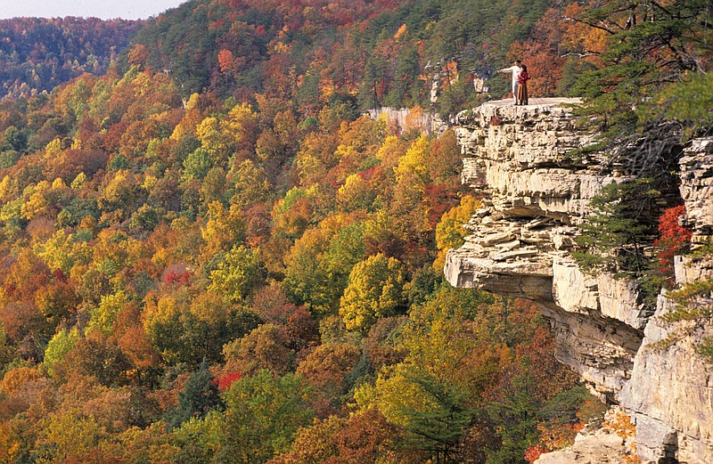 Savage Gulf State Natural Area: A bit of a longer drive and a bit of a longer hike, but in the fall, it's totally worth it. The Day Loop on this 15,000-acre natural area gives way to the tapestry of color seen from the mountainous overlook at Rattlesnake Point, and a 12-mile hike along the North Rim Trail is rewarded with an equally stunning view at Tommy Point.
