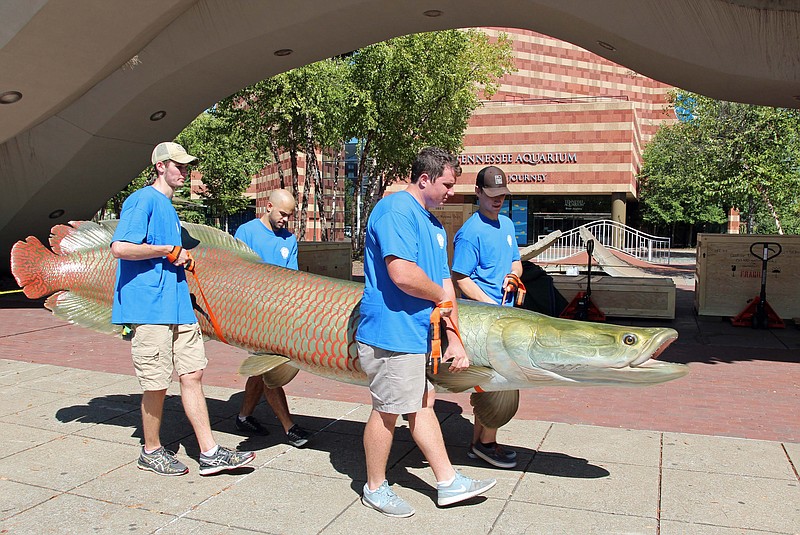 A life-size replica of an arapaima is delivered to the Tennessee Aquarium for the National Geographic "Monster Fish" exhibit. World-renowned Staab Studios created the five life-size fish sculptures for the exhibition.