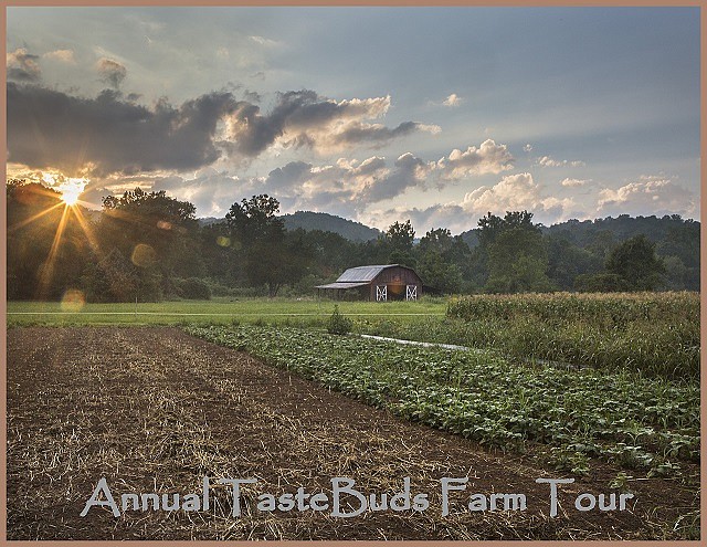 The TasteBuds Farm Tour, a chance to explore the local foodshed, happens this weekend, Oct. 1-2.
