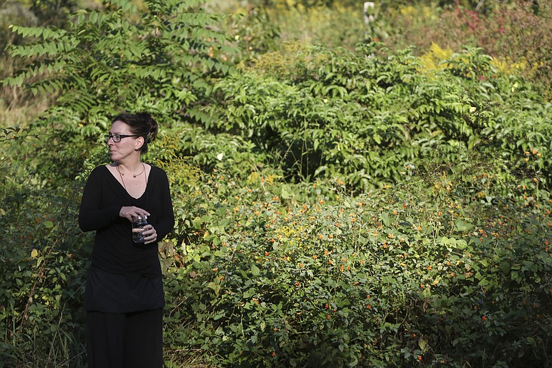 McLemore's Cove residents trying to protect wetlands from electric