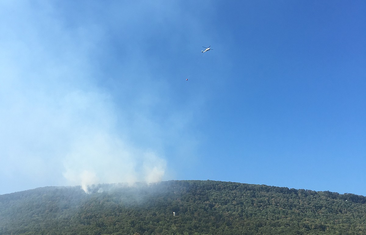 Emergency personnel say they have controlled a brush fire on Signal ...