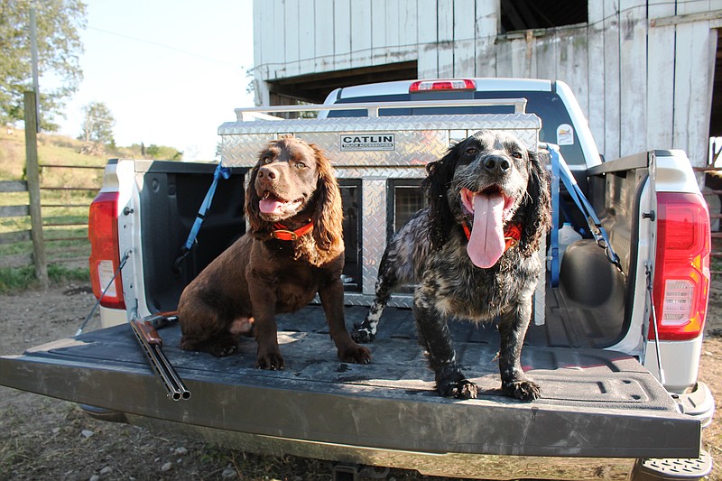 A good dog (or two) makes for a good hunt, and the partnership between canine humans is a successful one that stretches back a long time, writes outdoors columnist Larry Case.