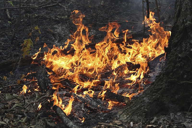 Staff Photo by Dan Henry / The Chattanooga Times Free Press- 10/12/16. Tennessee Division of Forestry and other personnel continue to battle a wildfire burning atop Signal Mountain.