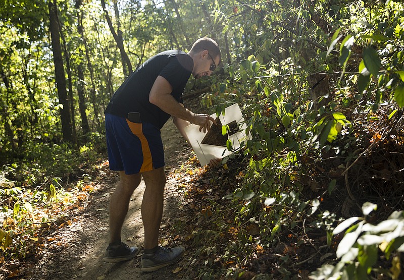 David Pharr, organizer of the inaugural "Cannonball" trail race, places an event sign at Stringers Ridge on Tuesday, Oct. 11, 2016, in Chattanooga, Tenn.