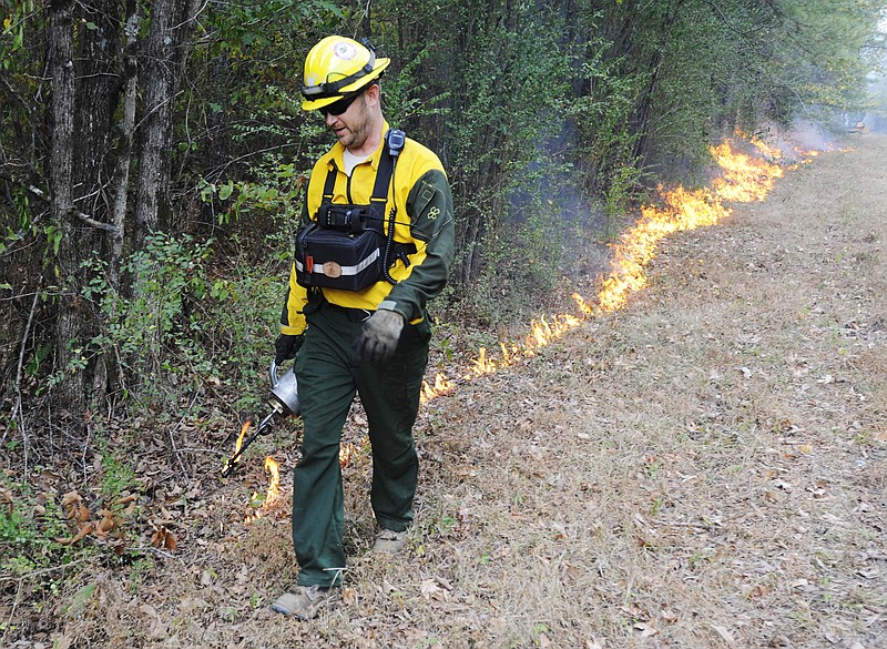 
              Brad Lang, a firefighter with the Alabama Forestry Commission, sets a backfire to help extinguish a wildfire near Brookside, Ala., on Thursday, Oct. 27, 2016. Wildfires have burned hundreds of acres a day in the South as a drought worsens across much of the region. (AP Photo/Jay Reeves)
            