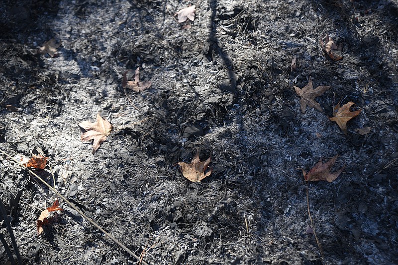 The ground is scorched in an area of burned woods Tuesday, October 25, 2015. A fire that started over the weekend tore through around 325 acres in Little River Canyon in Alabama.