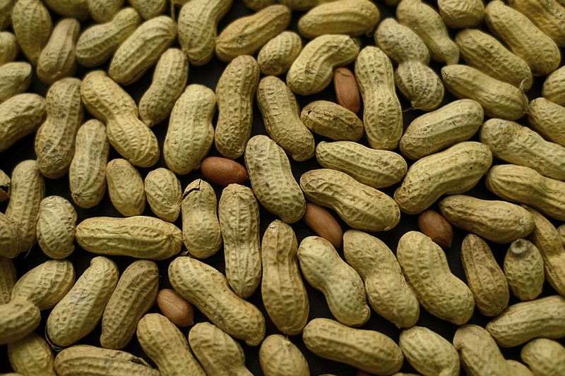 
              FILE - This Feb. 20, 2015 file photo, photo shows an arrangement of peanuts in New York. A study published Oct. 26, 2016, in the Journal of Allergy and Clinical Immunology says nearly half of those treated with a skin patch for peanut allergy sufferers were able to consume at least 10 times more peanut protein than they were able to consume prior to treatment. (AP Photo/Patrick Sison, File)
            