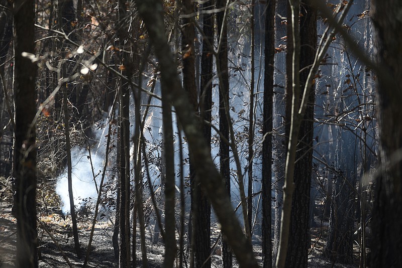 A hot spot smolders in an area of burned woods Tuesday, Oct. 25, 2015, in Little River Canyon in Alabama.